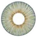 Urban Layer Angeles Grey (1 lens/pack)-Colored Contacts-UNIQSO UK