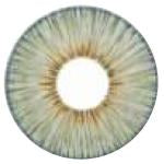 Urban Layer Angeles Grey (1 lens/pack)-Colored Contacts-UNIQSO UK