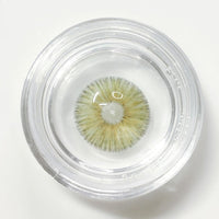 Urban Layer Angeles N Grey (1 lens/pack)-Colored Contacts-UNIQSO UK