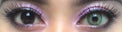 Urban Layer Celine Green - aka Batis Green (1 lens/pack)-Colored Contacts-UNIQSO UK