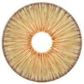 Urban Layer New York Brown (1 lens/pack)-Colored Contacts-UNIQSO UK