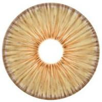 Urban Layer New York Brown (1 lens/pack)-Colored Contacts-UNIQSO UK