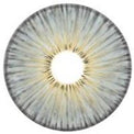 Urban Layer New York Grey (1 lens/pack)-Colored Contacts-UNIQSO UK
