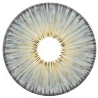 Urban Layer New York Grey (1 lens/pack)-Colored Contacts-UNIQSO UK