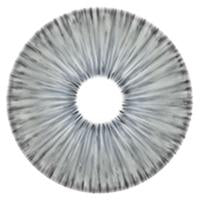 Urban Layer New York Grey - NEW (1 lens/pack)-Colored Contacts-UNIQSO UK