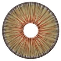 Urban Layer New York Hazel - NEW (1 lens/pack)-Colored Contacts-UNIQSO UK