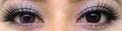 Western Eyes Hybrid Violet (1 lens/pack)-Colored Contacts-UNIQSO UK