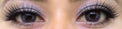 Western Eyes Hybrid Violet (1 lens/pack)-Colored Contacts-UNIQSO UK