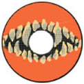 Sweety Sclera Contacts Jagged Teeth (1 lens/pack)-Sclera Contacts-UNIQSO