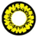 Sweety Crazy Splashy Rage (1 lens/pack)-Crazy Contacts-UNIQSO