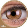 Colorvue Cheerful Woody Brown-Colored Contacts-UNIQSO